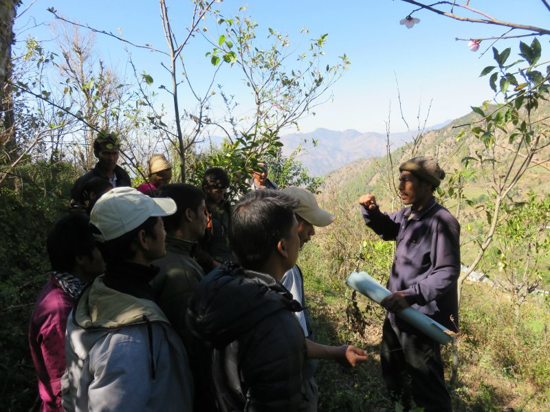 photo of group listening to trainer in the mountains