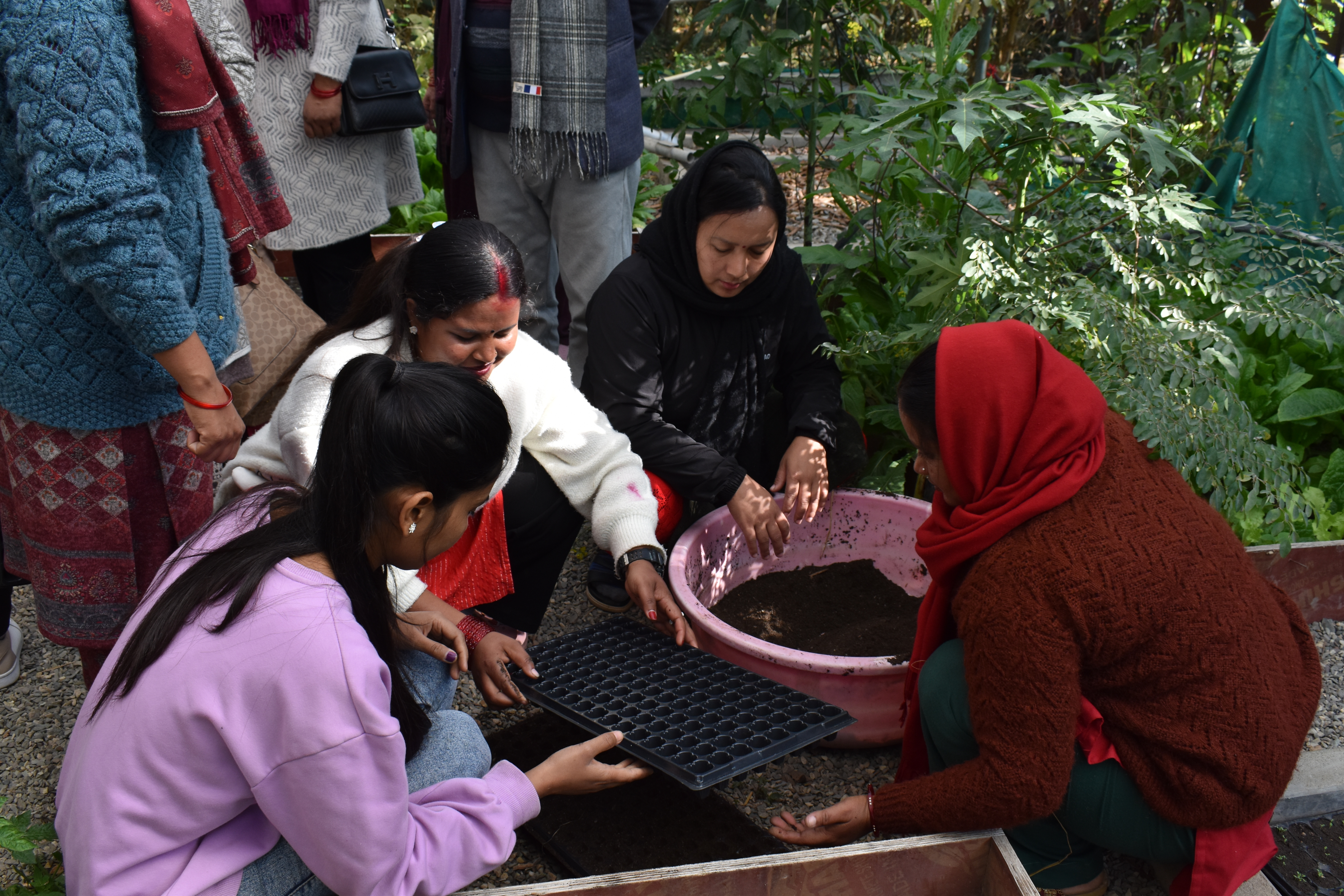 A group of people gather around a bucket of soil and fill seed trays.